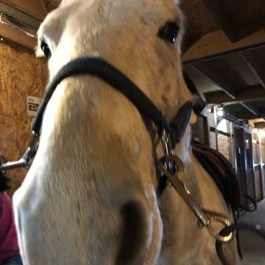 Meet your Posher, Cory